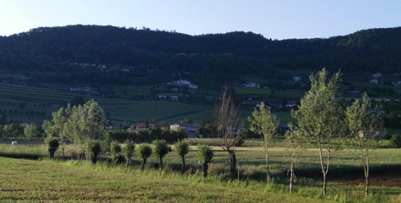 La Pergola Alloggio Brendola Kültér fotó