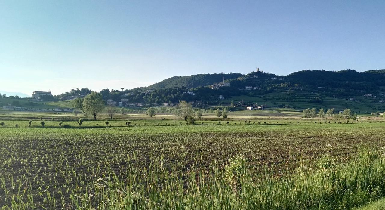 La Pergola Alloggio Brendola Kültér fotó